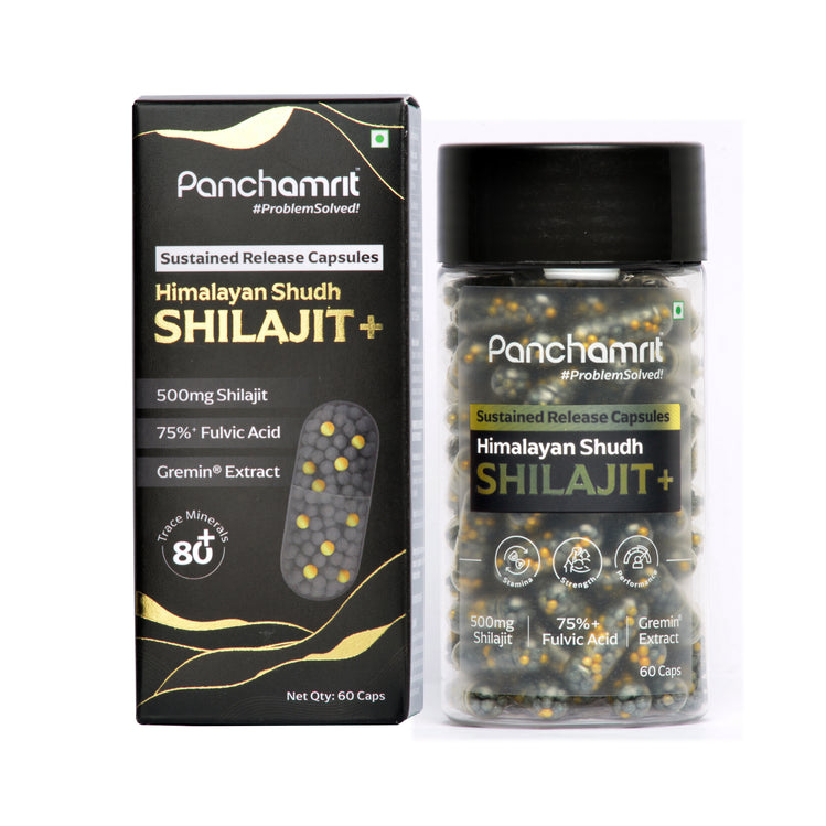 Panchamrit Himalayan Shudh Shilajit | Sustained Release Capsules