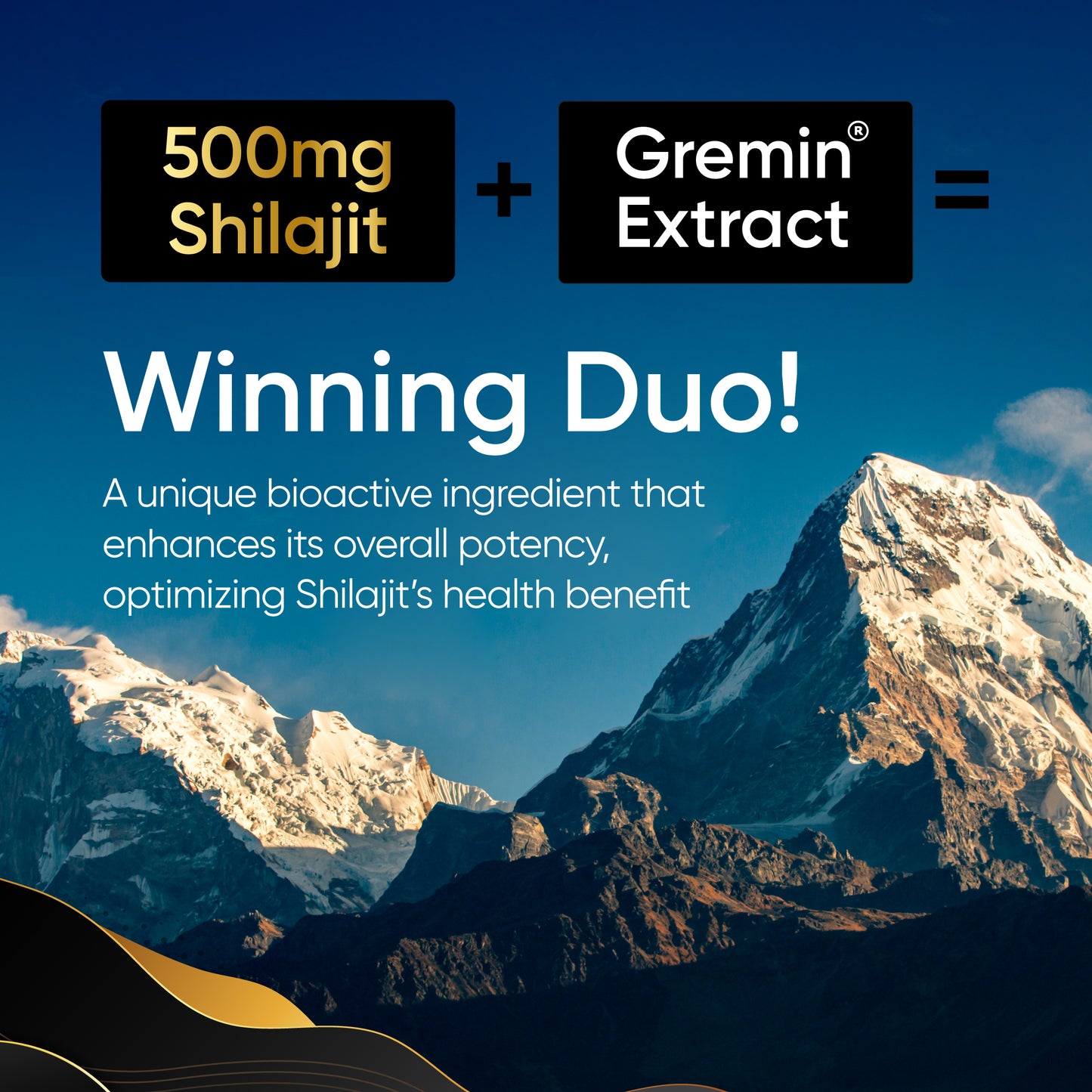 Panchamrit Himalayan Shudh Shilajit | Sustained Release Capsules