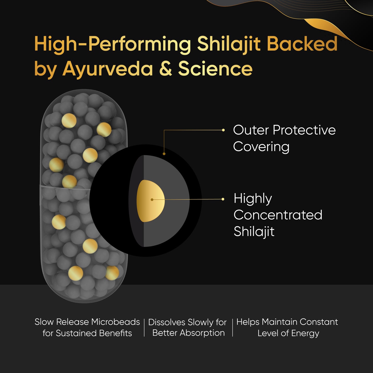 Panchamrit Himalayan Shudh Shilajit | Sustained Release Capsules