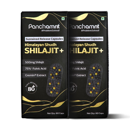 Panchamrit Himalayan Shudh Shilajit | Sustained Release Capsules